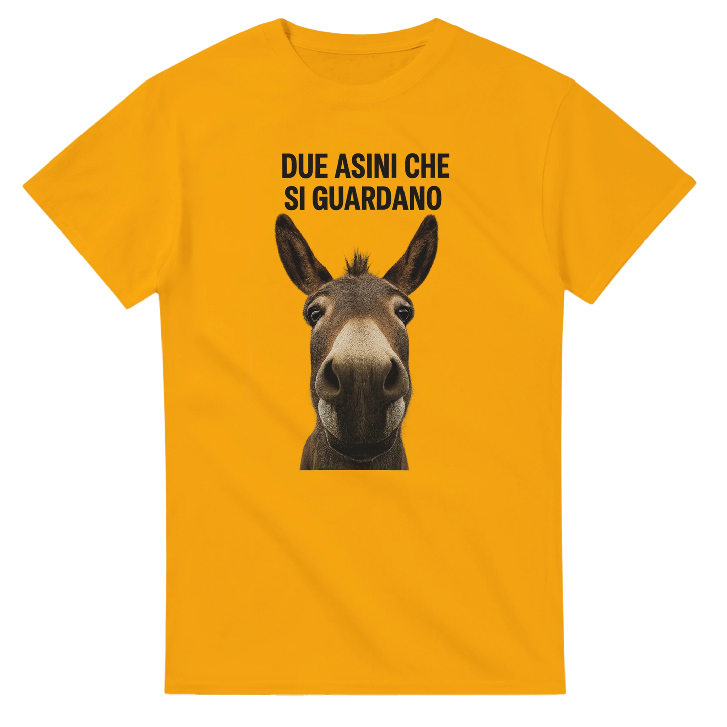 4d379644-3c3c-415c-9381-f61604c3f6a5