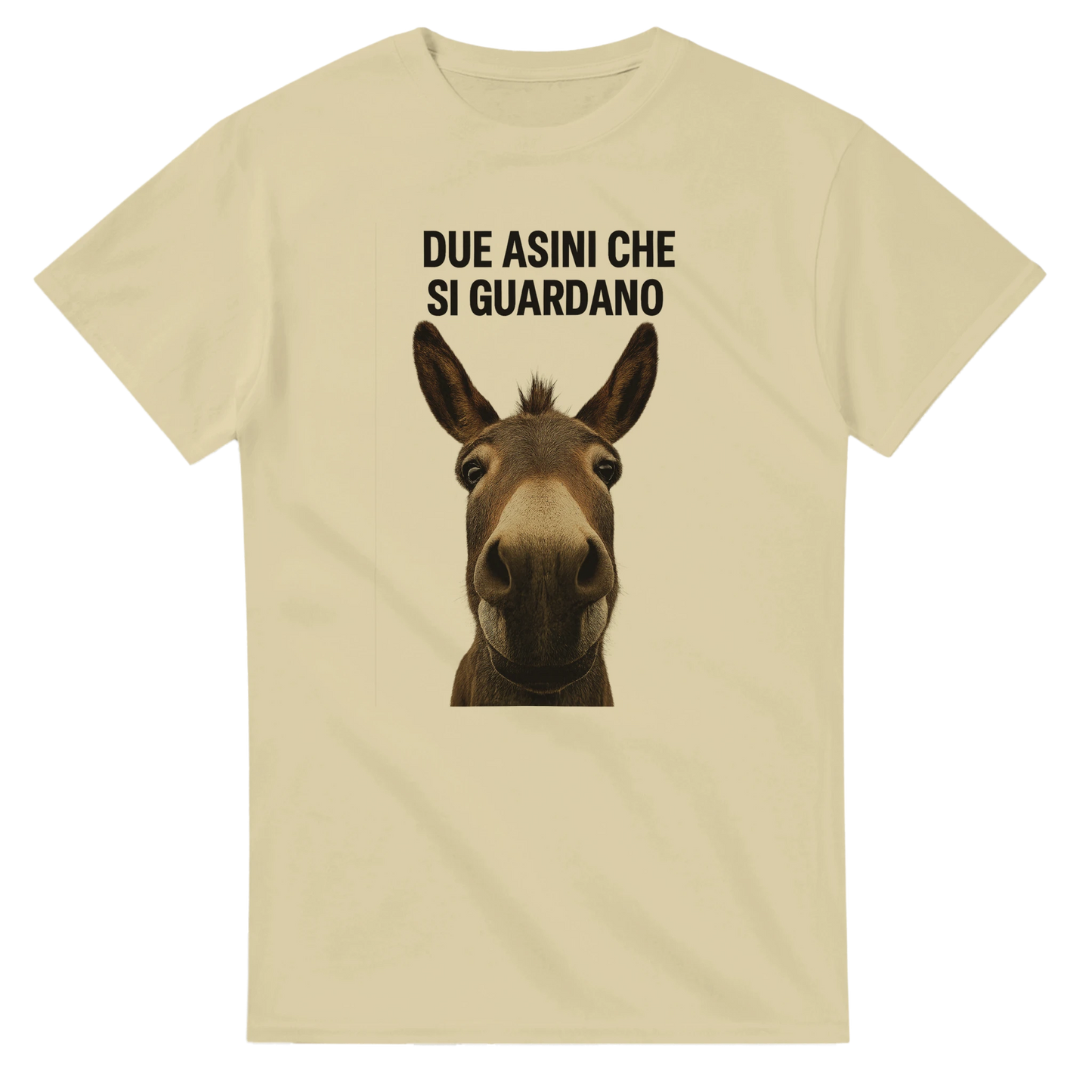 8e07399d-5ce7-4284-b87e-ffa48124f118